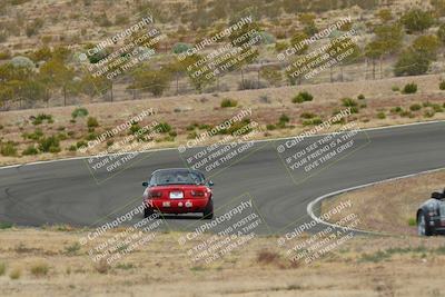 media/May-03-2025-Lucky Dog Racing (Sat) [[206de64b9d]]/Turn 2 (1020am-1120am)/
